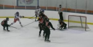 Read more about the article Bulls Roll Past Chiefs
