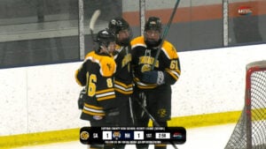 Read more about the article Friars Top Tigers 6-1